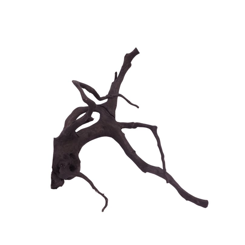 L Black Spider Wurzel  Nr.2628 Fingerwurzel Echtholz Deko Aquascaping 