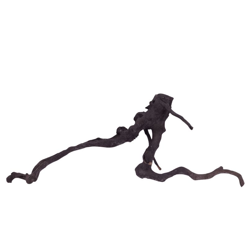 L Black Spider Wurzel  Nr.2629 Fingerwurzel Echtholz Deko Aquascaping 