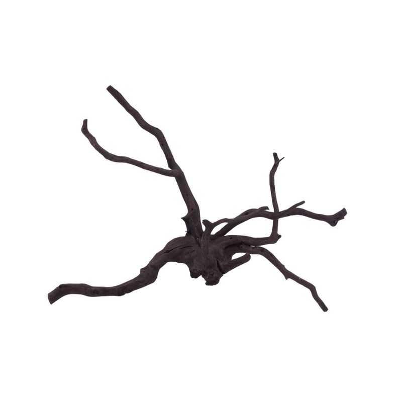 L Black Spider Wurzel  Nr.2630 Fingerwurzel Echtholz Deko Aquascaping 