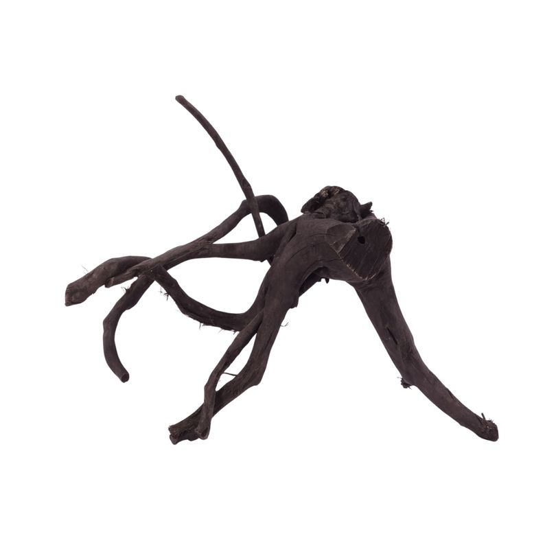 L Black Spider Wurzel  Nr.2631 Fingerwurzel Echtholz Deko Aquascaping 