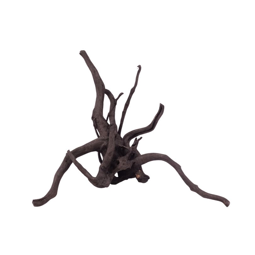 L Black Spider Wurzel  Nr.2632 Fingerwurzel Echtholz Deko Aquascaping 