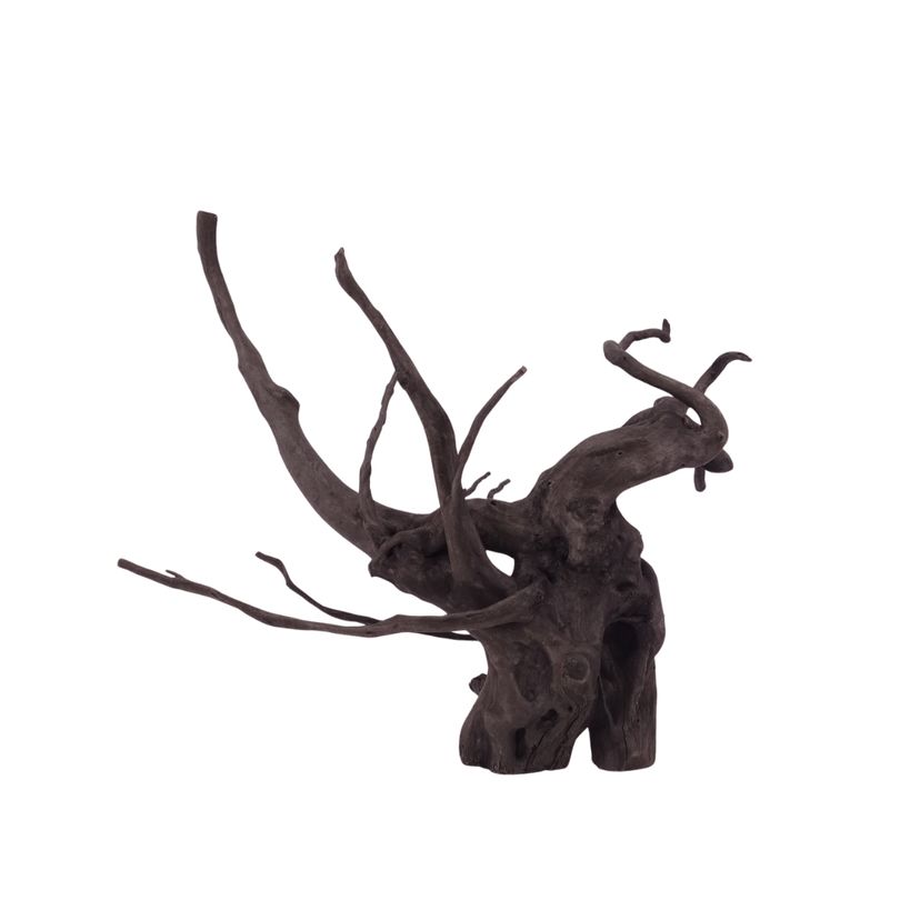 L Black Spider Wurzel  Nr.2634 Fingerwurzel Echtholz Deko Aquascaping 