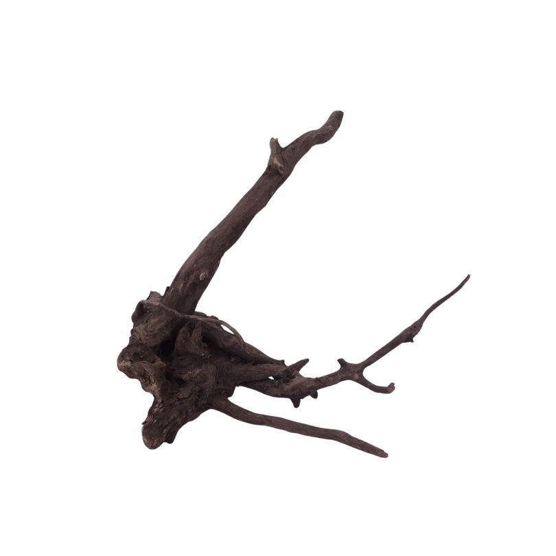 L Black Spider Wurzel  Nr.2638 Fingerwurzel Echtholz Deko Aquascaping 