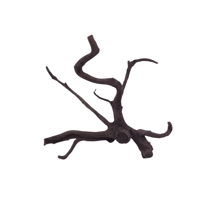 L Black Spider Wurzel  Nr.2639 Fingerwurzel Echtholz Deko Aquascaping 