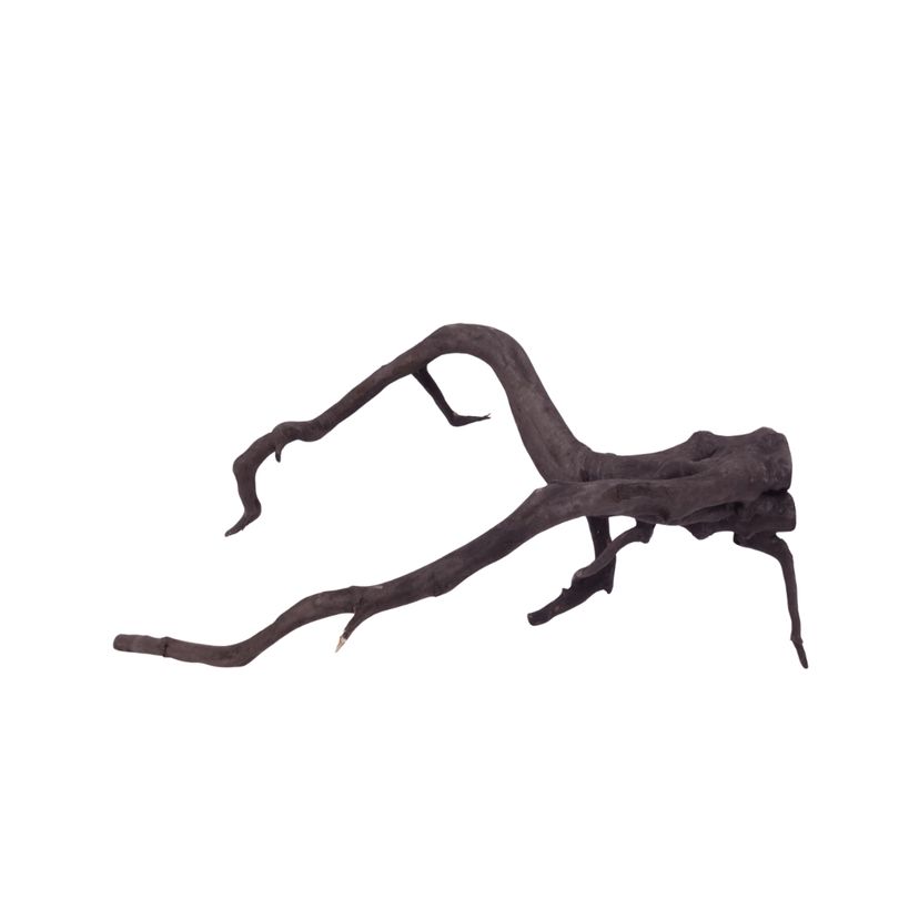 L Black Spider Wurzel  Nr.2640 Fingerwurzel Echtholz Deko Aquascaping 