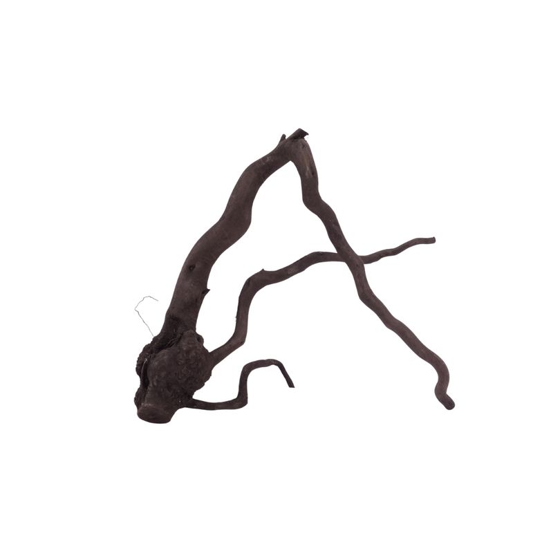 L Black Spider Wurzel  Nr.2642 Fingerwurzel Echtholz Deko Aquascaping 