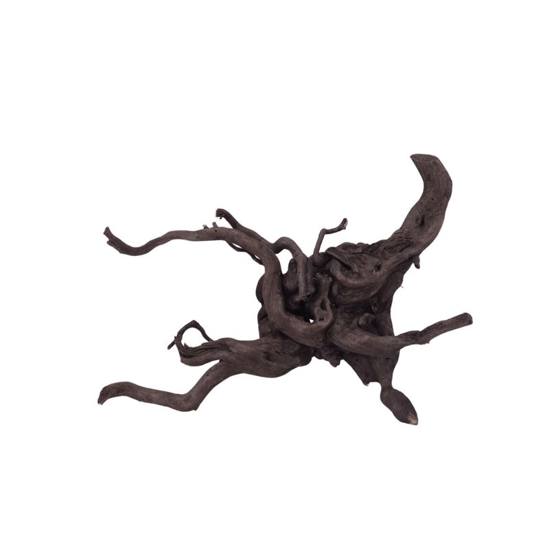 L Black Spider Wurzel  Nr.2643 Fingerwurzel Echtholz Deko Aquascaping 