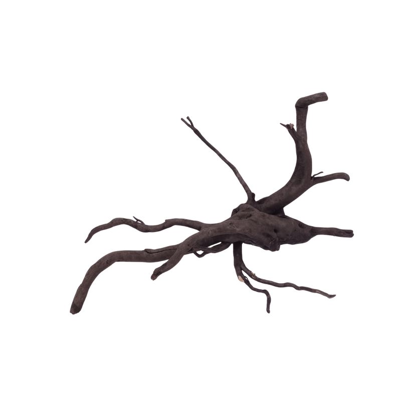 L Black Spider Wurzel  Nr.2644 Fingerwurzel Echtholz Deko Aquascaping 