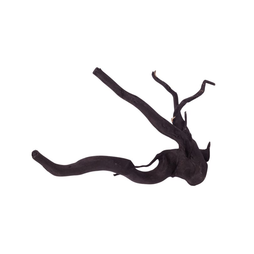 L Black Spider Wurzel  Nr.2645 Fingerwurzel Echtholz Deko Aquascaping 