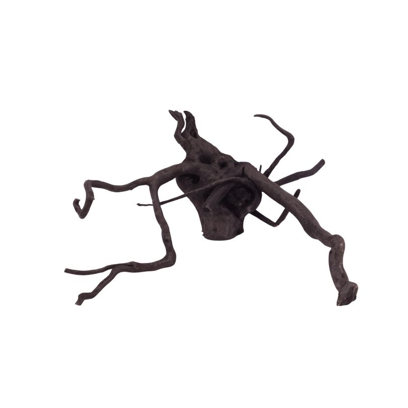 L Black Spider Wurzel  Nr.2646 Fingerwurzel Echtholz Deko Aquascaping 