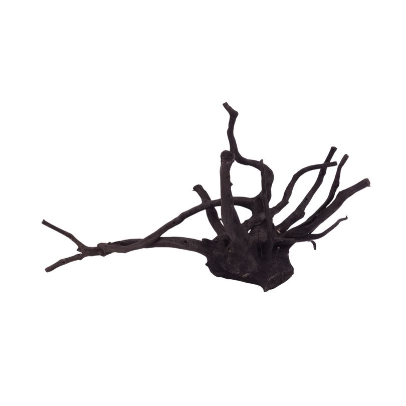 L Black Spider Wurzel  Nr.2652 Fingerwurzel Echtholz Deko Aquascaping 