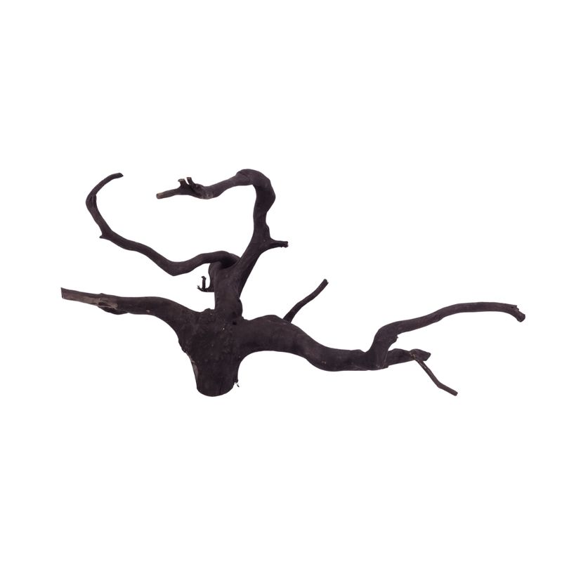 L Black Spider Wurzel  Nr.2657 Fingerwurzel Echtholz Deko Aquascaping 