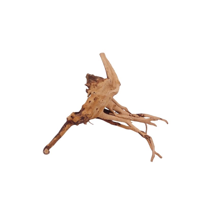 M Moorkienwurzel Nr.2720 Holz Deko Aquascaping