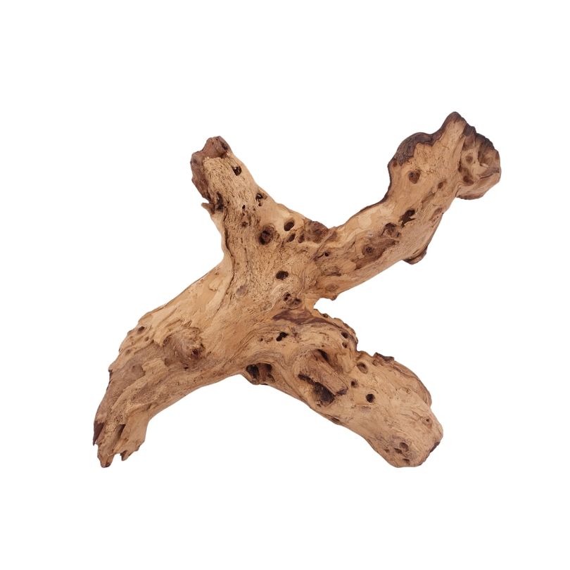 XL Mopani Wurzel Nr.2802 Holz Deko Aquascaping