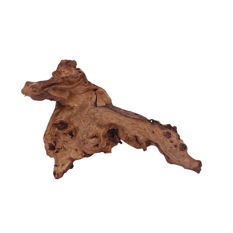 XL Mopani Wurzel Nr.2804 Holz Deko Aquascaping