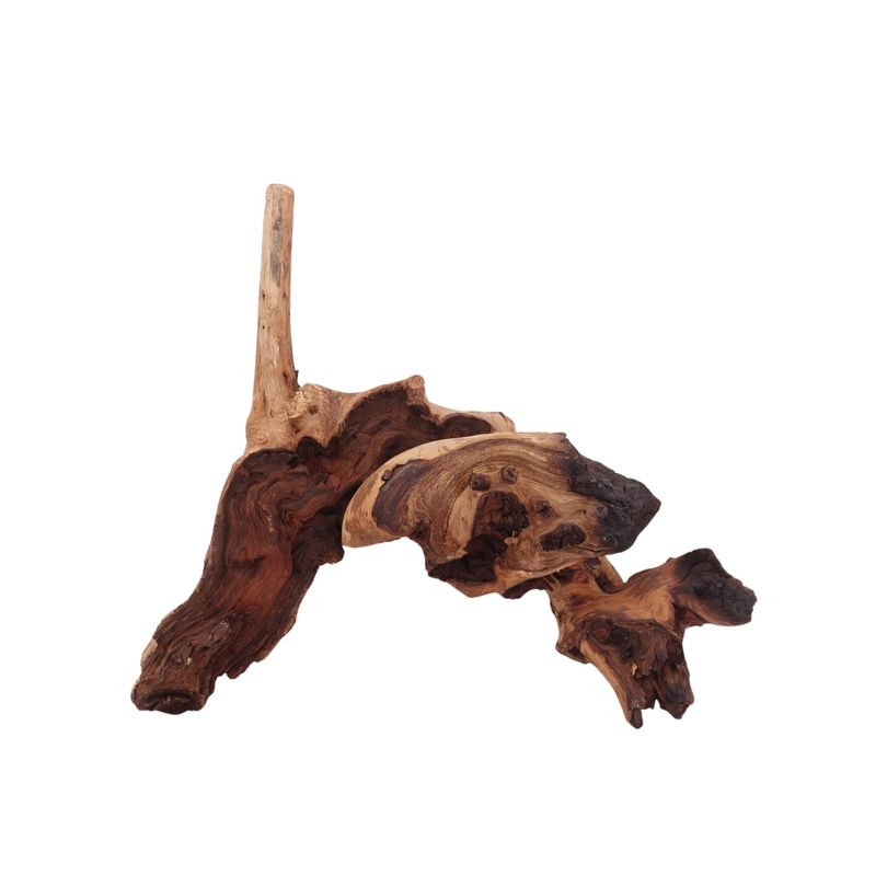 XL Mopani Wurzel Nr.2805 Holz Deko Aquascaping