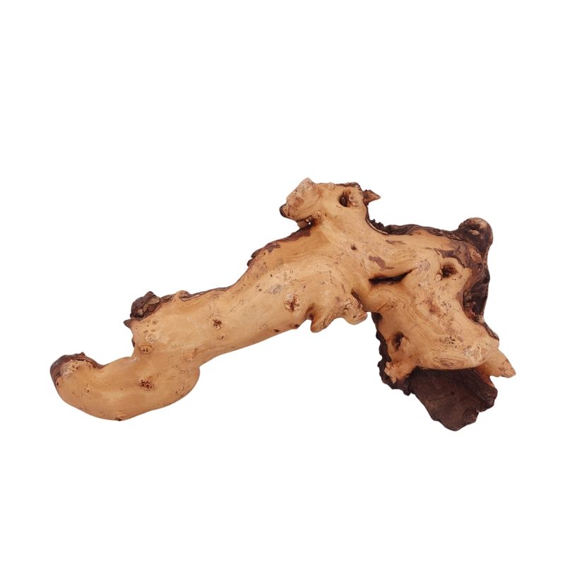 XL Mopani Wurzel Nr.2806 Holz Deko Aquascaping