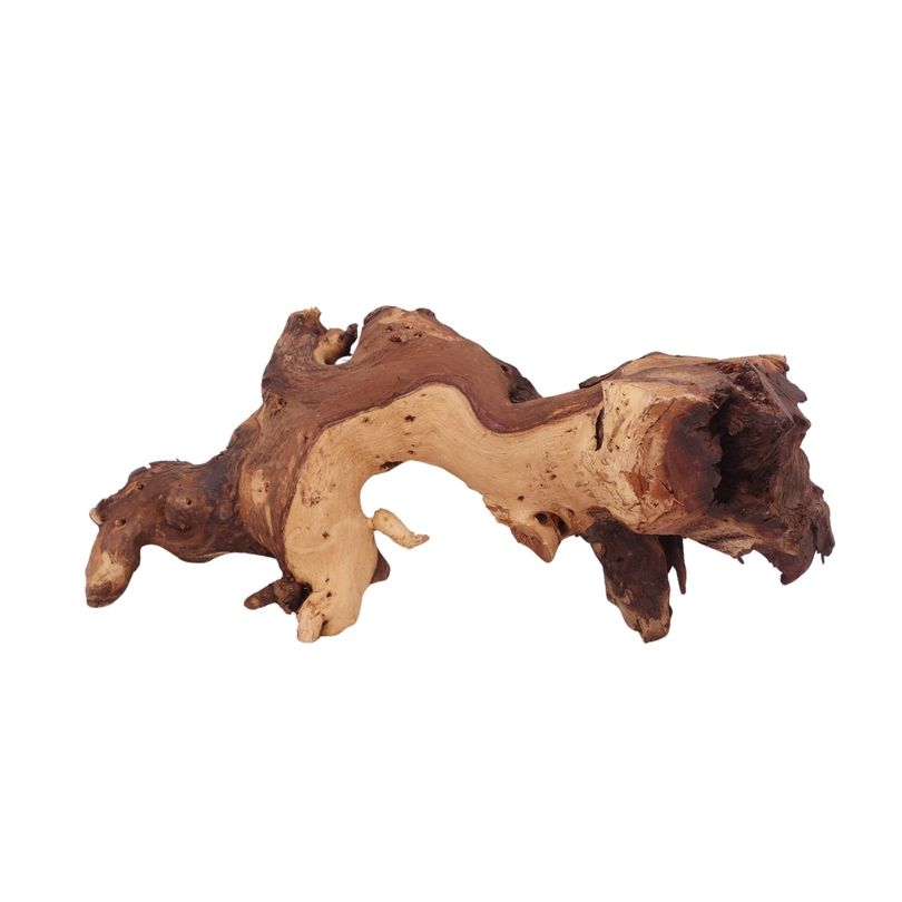 XL Mopani Wurzel Nr.2807 Holz Deko Aquascaping