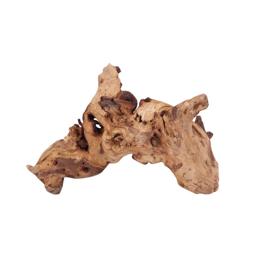 XL Mopani Wurzel Nr.2808 Holz Deko Aquascaping