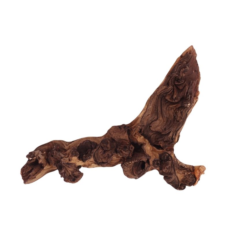 XL Mopani Wurzel Nr.2811 Holz Deko Aquascaping