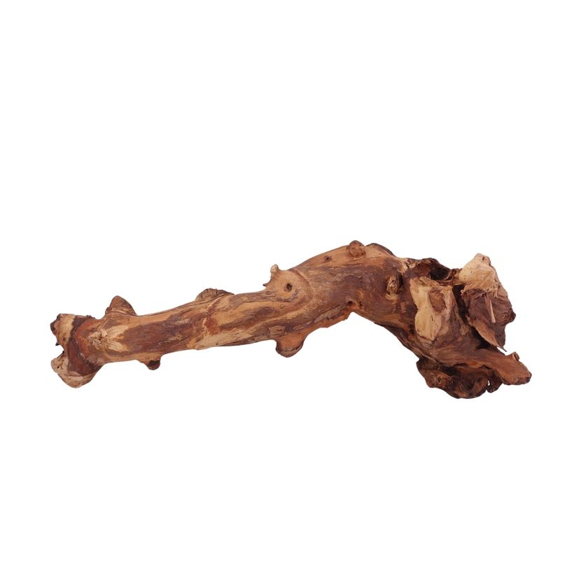 XL Mopani Wurzel Nr.2812 Holz Deko Aquascaping