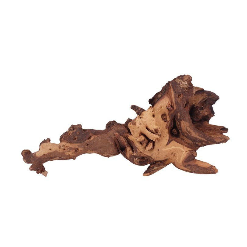 XL Mopani Wurzel Nr.2815 Holz Deko Aquascaping