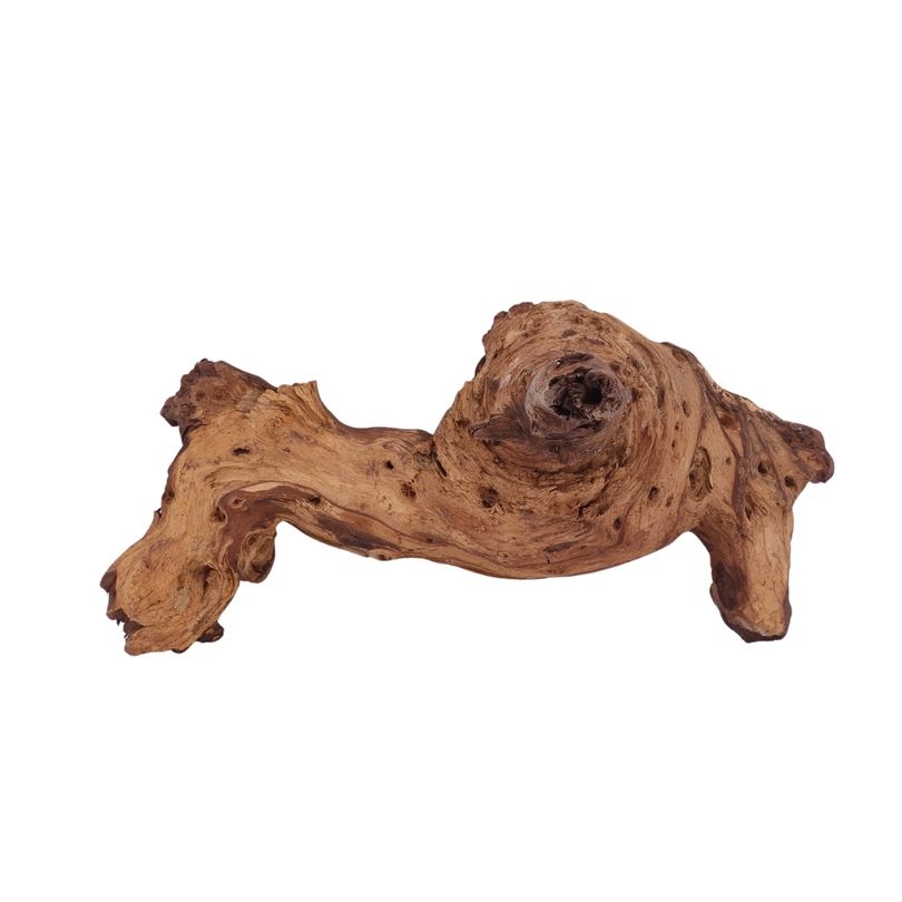 XL Mopani Wurzel Nr.2816 Holz Deko Aquascaping