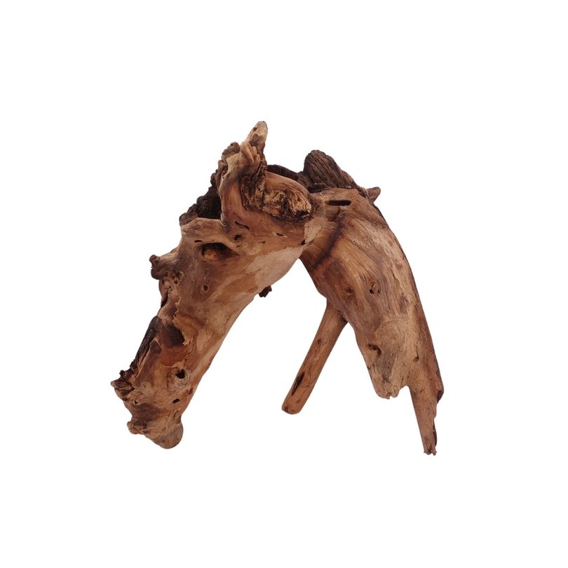 M Mopani Wurzel Nr.2723 Holz Deko Aquascaping