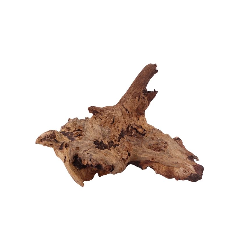 M Mopani Wurzel Nr.2727 Holz Deko Aquascaping