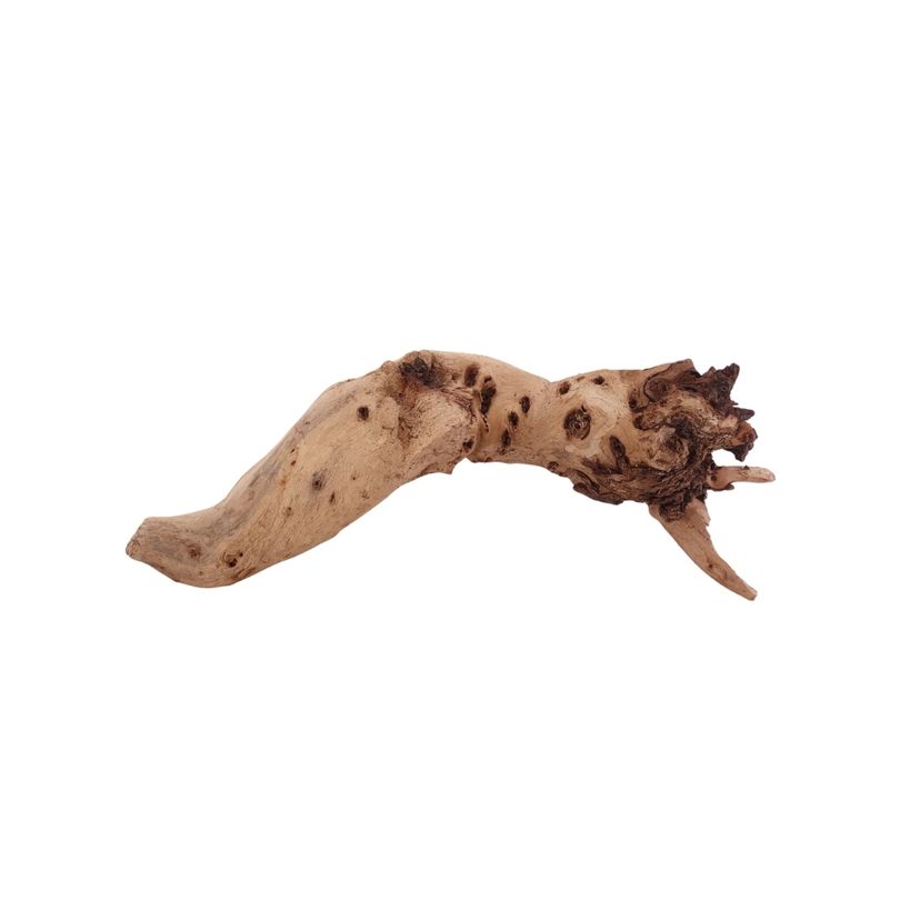 M Mopani Wurzel Nr.2728 Holz Deko Aquascaping