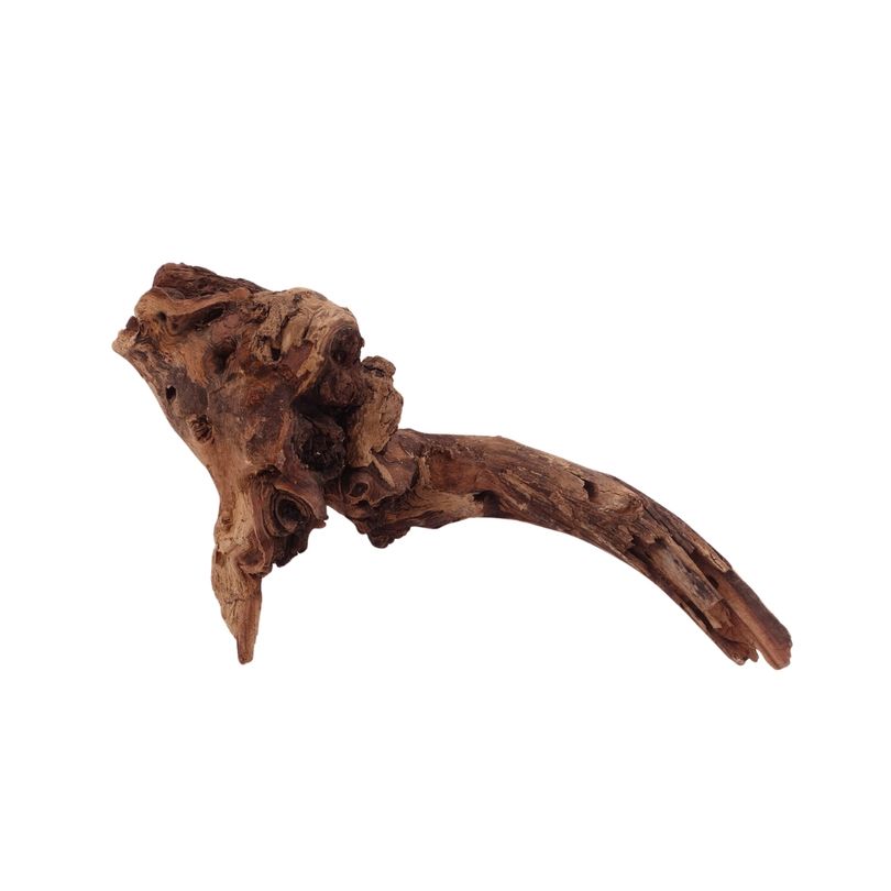 M Mopani Wurzel Nr.2729 Holz Deko Aquascaping