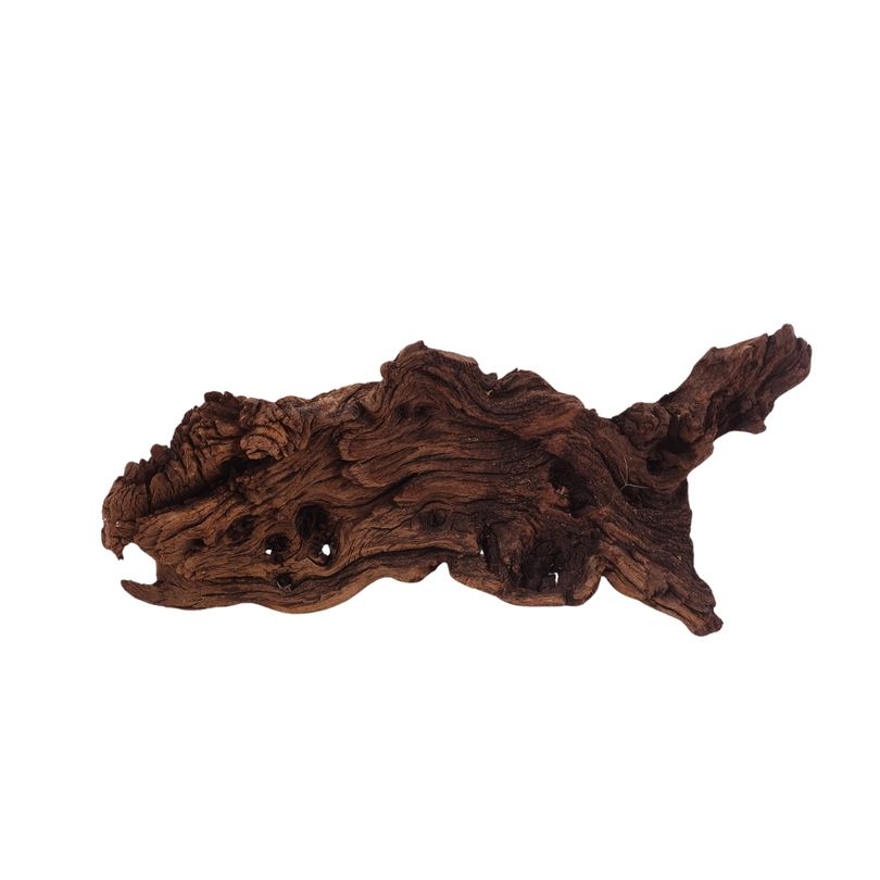 M Mopani Wurzel Nr.2730 Holz Deko Aquascaping