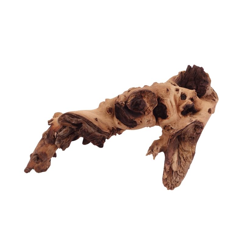 M Mopani Wurzel Nr.2732 Holz Deko Aquascaping