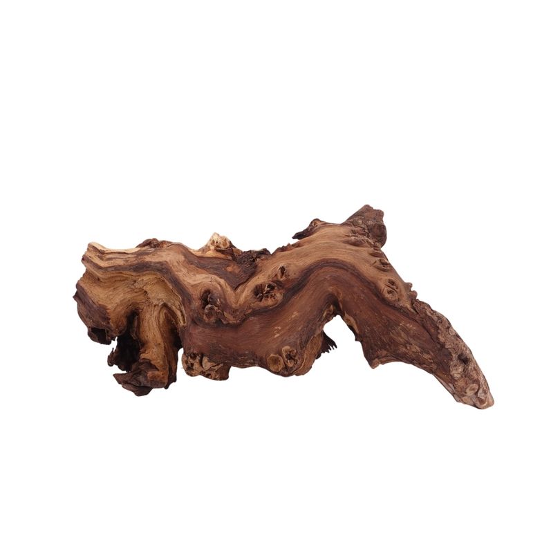 M Mopani Wurzel Nr.2734 Holz Deko Aquascaping
