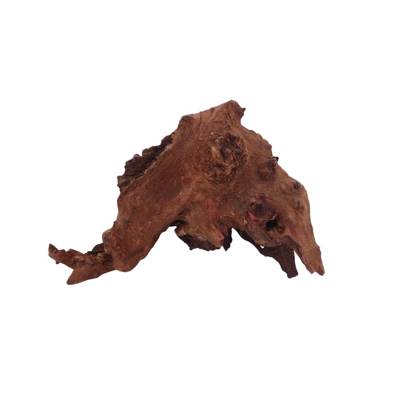 M Mopani Wurzel Nr.2735 Holz Deko Aquascaping