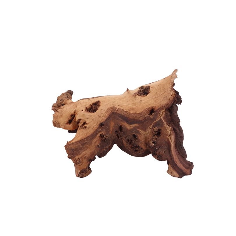 M Mopani Wurzel Nr.2736 Holz Deko Aquascaping