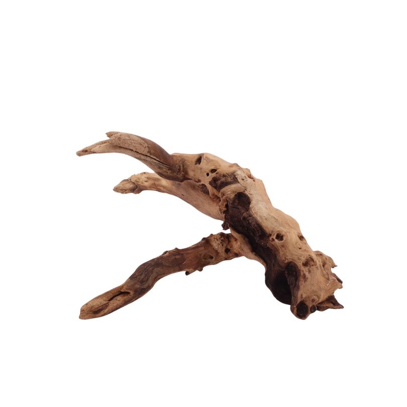 M Mopani Wurzel Nr.2737 Holz Deko Aquascaping