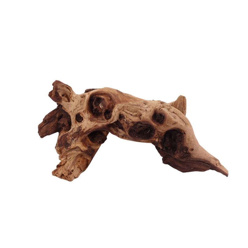 M Mopani Wurzel Nr.2740 Holz Deko Aquascaping