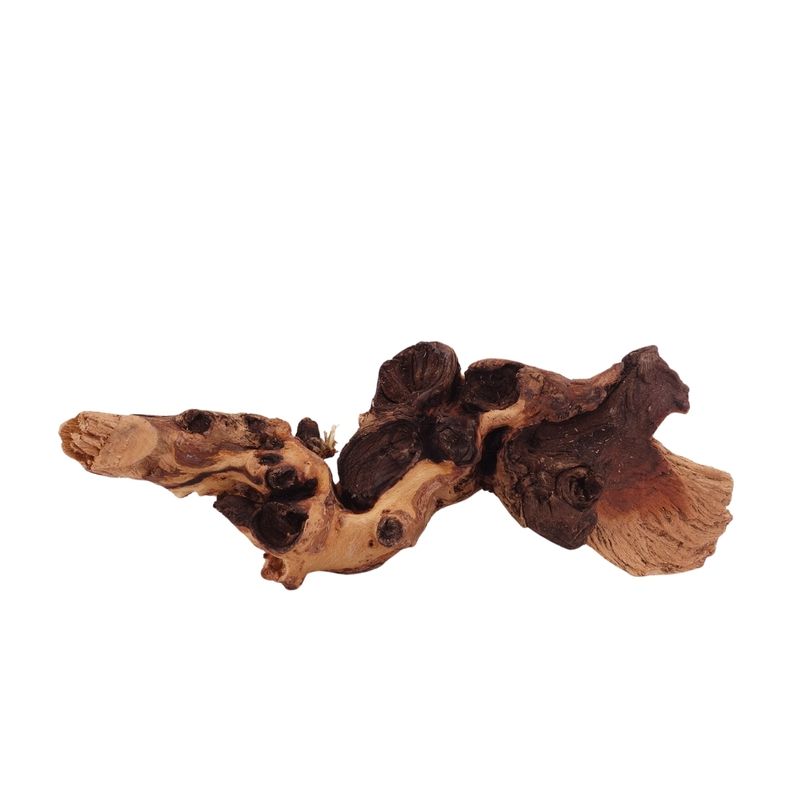 M Mopani Wurzel Nr.2741 Holz Deko Aquascaping