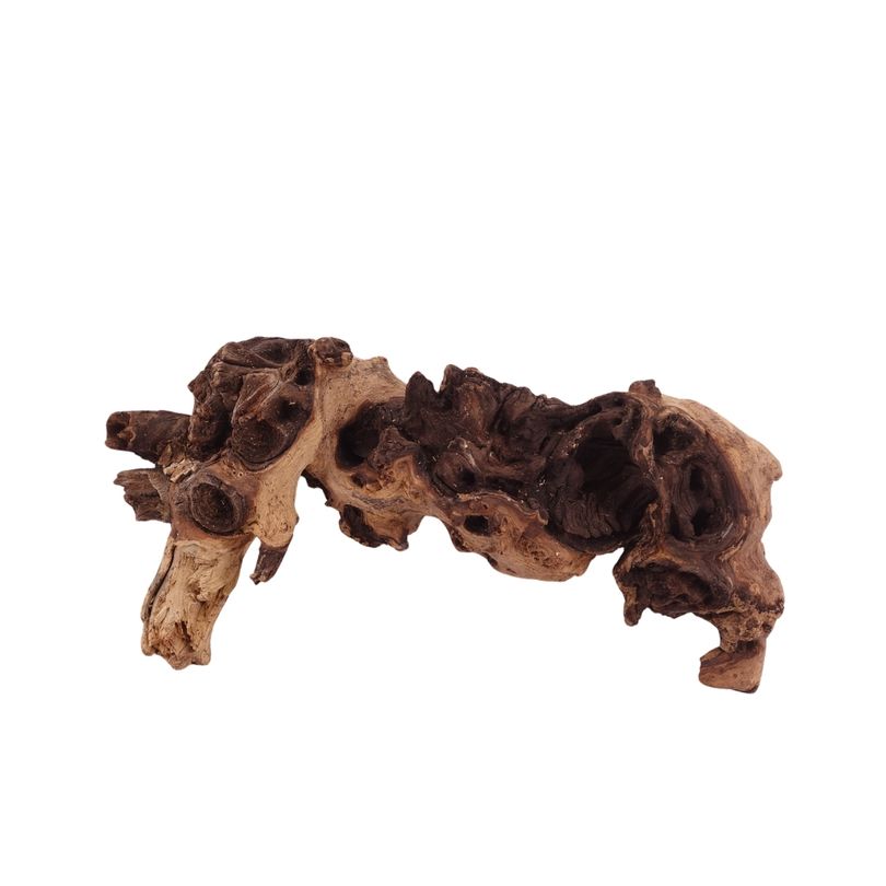 M Mopani Wurzel Nr.2744 Holz Deko Aquascaping