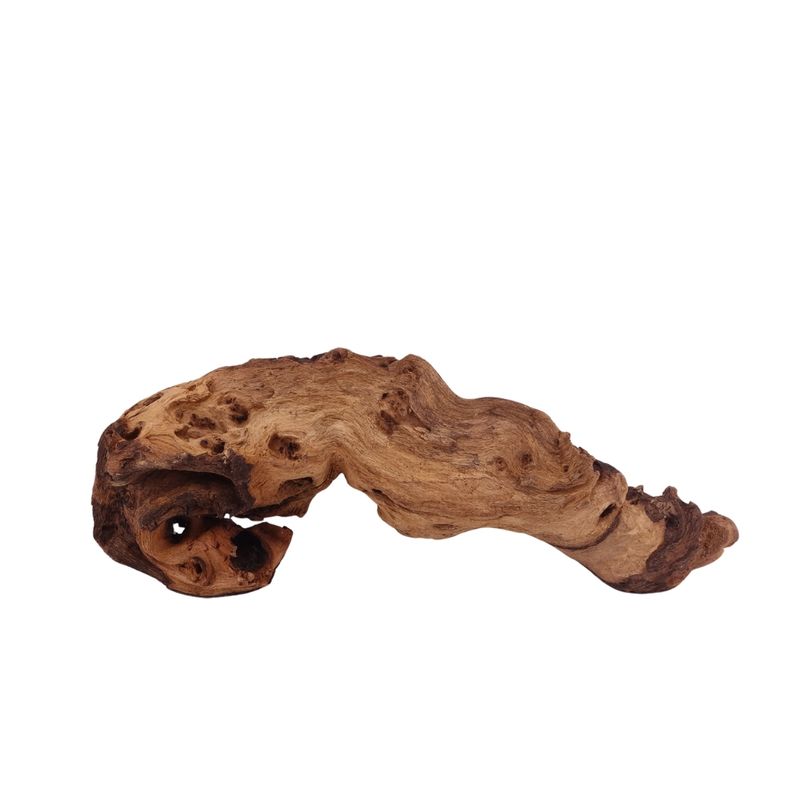M Mopani Wurzel Nr.2745 Holz Deko Aquascaping