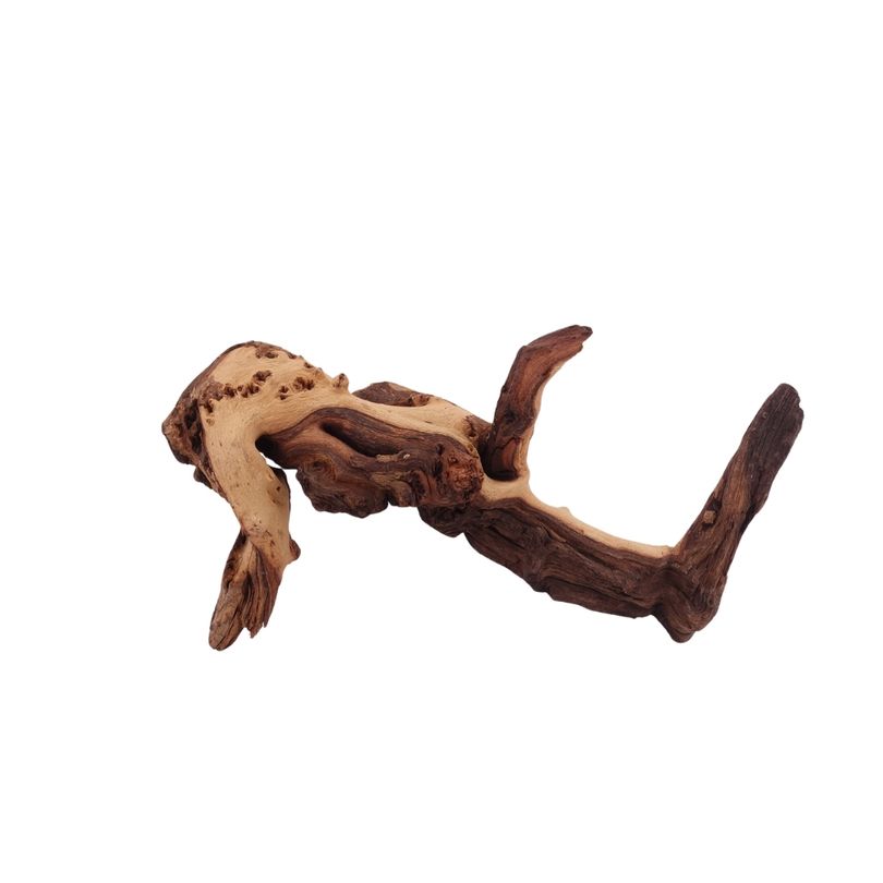 M Mopani Wurzel Nr.2746 Holz Deko Aquascaping