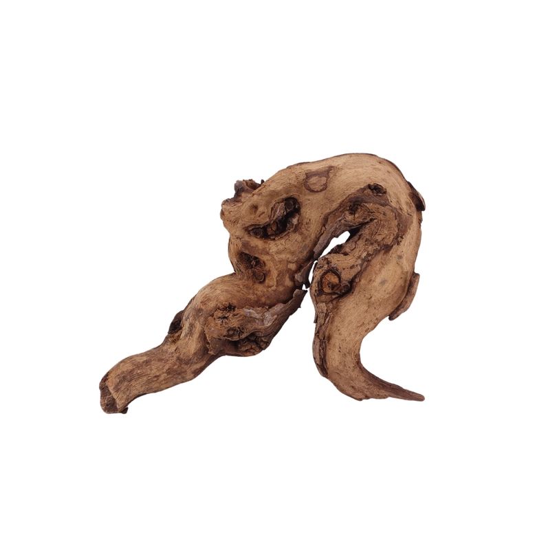 M Mopani Wurzel Nr.2749 Holz Deko Aquascaping