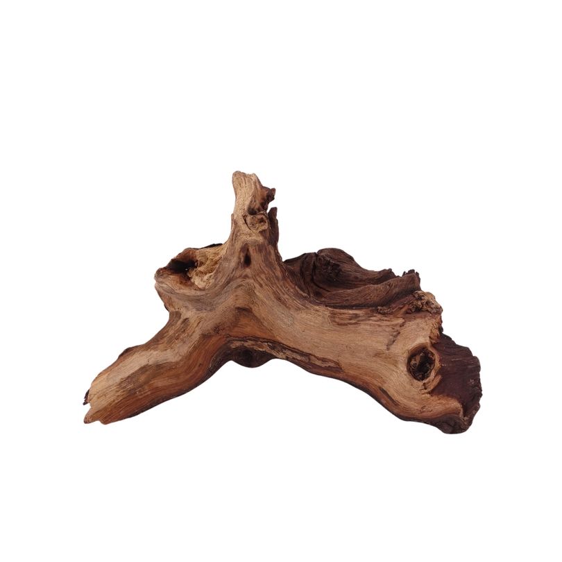 M Mopani Wurzel Nr.2752 Holz Deko Aquascaping