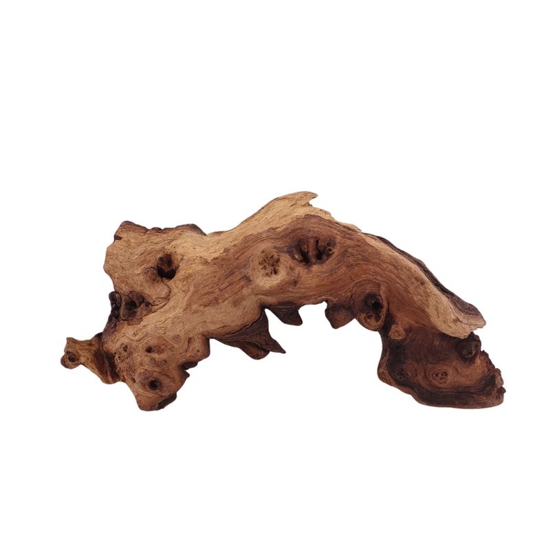 M Mopani Wurzel Nr.2753 Holz Deko Aquascaping