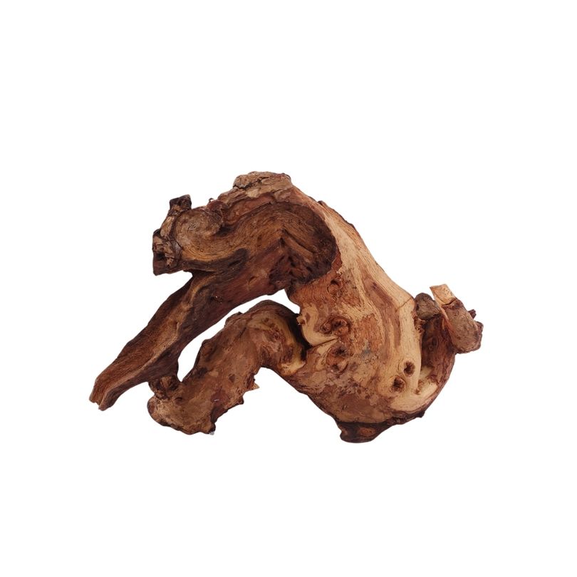 M Mopani Wurzel Nr.2754 Holz Deko Aquascaping