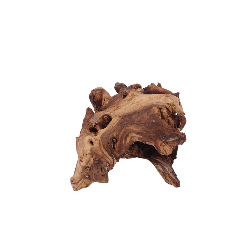 M Mopani Wurzel Nr.2757 Holz Deko Aquascaping