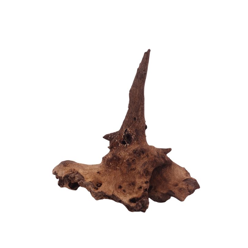 M Mopani Wurzel Nr.2758 Holz Deko Aquascaping
