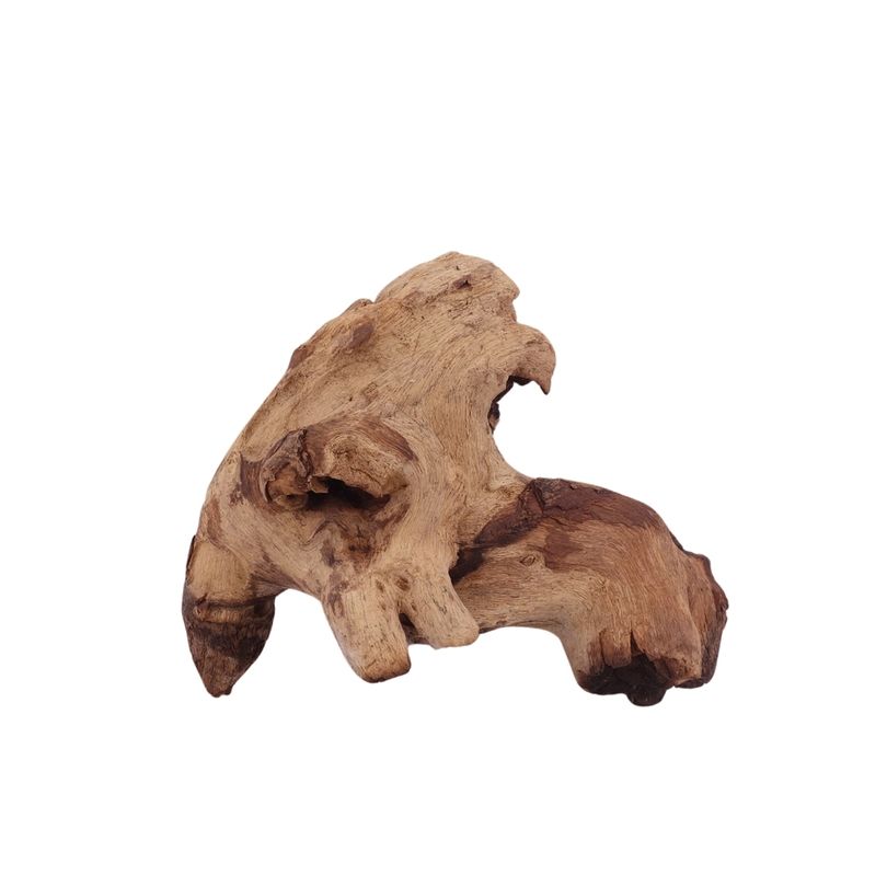 M Mopani Wurzel Nr.2762 Holz Deko Aquascaping