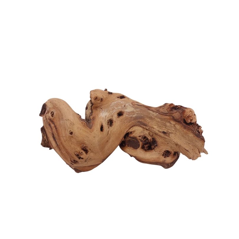 M Mopani Wurzel Nr.2764 Holz Deko Aquascaping